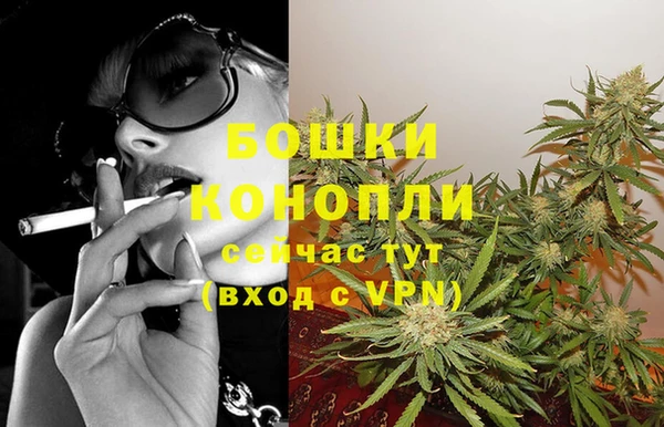 ECSTASY Богданович