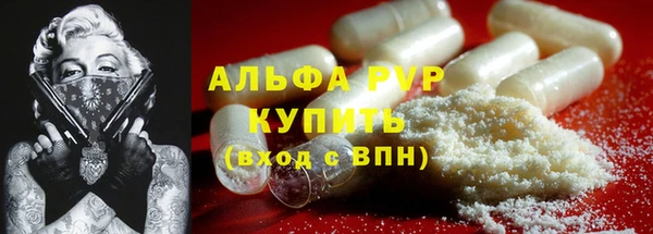 ECSTASY Богданович